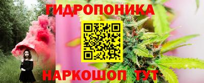 дмт Бийск